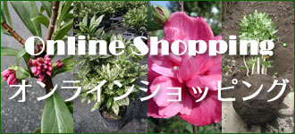 竹中園芸の植木・樹木オンラインショッピング