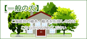 ご家庭用の植木・樹木をお探しの方はこちらからお入りください