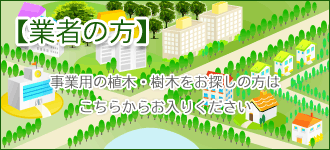 事業用の植木・樹木をお探しの方はこちらからお入りください