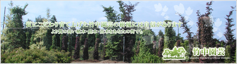 質にこだわり育て上げた竹中園芸の樹種には自信があります