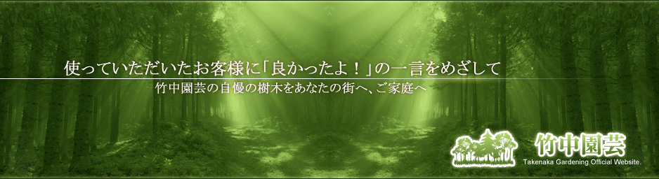 植木庭木、トキワマンサク、セダム、ヒイラギナンテン、サルスベリの生産者のお店、三重県鈴鹿市竹中園芸